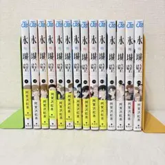 氷の城壁 1〜14巻 全巻セット 完結 阿賀沢紅茶 - メルカリ