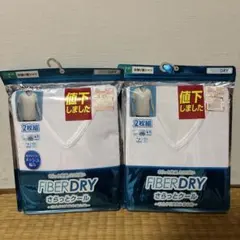 紳士ファイバードライ接触冷感　VネックTシャツ Lサイズ　半袖2枚組を2個セット