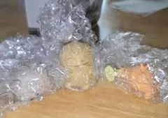 なんでもいきもの ならぶんです2 三個セット