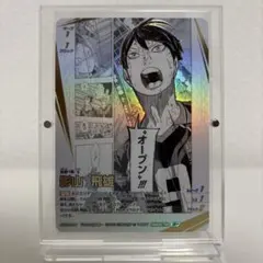 ハイキュー　バボカ　頂P 影山飛雄