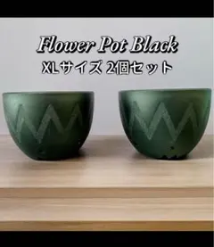 春めく季節はそこ！植木鉢 4個セット M.Lサイズ 各2個 大アガベ