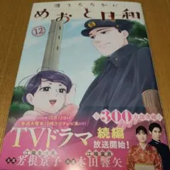 波うららかに、めおと日和(12)