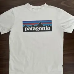 patagonia CAPILENE® COOL DAILY Tシャツ L