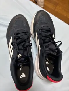 Item thumbnail for item a2fbdb9b-6f38-4a43-b4ce-1649d511fc54