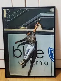 SDパドレス タティスJr MLB！A3サイズポスターフレーム付き