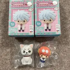 銀魂　銀八先生　ちょこりんコレクション　神楽　定春