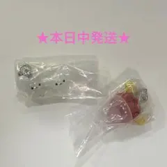 ポケモン めじるしアクセサリー2 ビリリダマのスピードスター！ ワッカネズミ