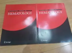 本⑨InterJournalHematology(Springer)