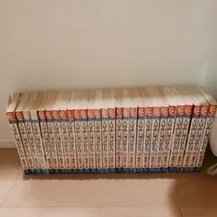 天は赤い河のほとり 全28巻セット