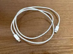 ライトニングケーブル(USB-C) 中古 Apple純正品 1m
