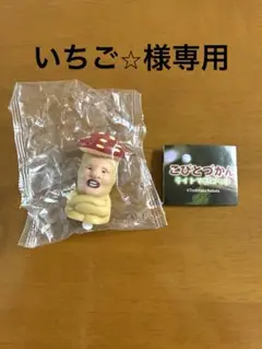 こびとづかん ライトマスコット ベニキノコビト