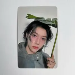 stray kids スキズ hollow 会場限定 エコパ トレカ ピリ