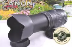 Item thumbnail for item 6f7199c5-4fbb-4a92-b9e0-609b6ed247dd