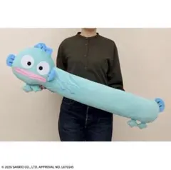 ハンギョドン　めっちゃなが～い！　クッション　プラチナムザッカ②のサムネイル