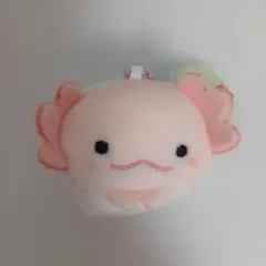 ウーパールーパー ぬいぐるみ