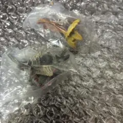 モンスターハンター　マスコットチャームコレクション　ジンオウガ亜種　イャンクック