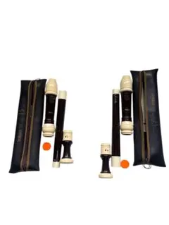 Item thumbnail for item e727fa6f-bd03-4b65-8495-fd69727f24d6