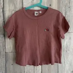 FRUITS OF THE LOOM フルーツオブザルーム ワッフルTシャツのサムネイル