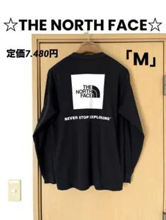 THE NORTH FACEノースフェイス長袖カットソーロングスリーブTシャツM