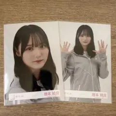 Item thumbnail for item 681cada3-6e97-47df-b0d9-6713ca4c90cd