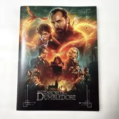 ファンタスティック・ビーストとダンブルドアの秘密 映画パンフレット