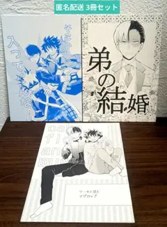 【匿名配送 ３冊セット】 ヒロアカ 轟出 全年齢 同人誌