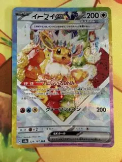 ポケモンカード イーブイex SAR 224
