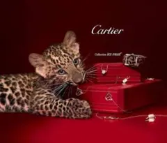 【専用】新生児肌着セット