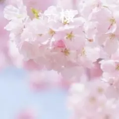 ☆様