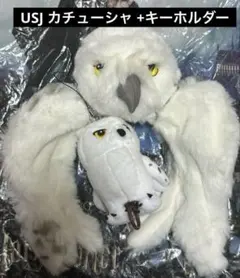 Item thumbnail for item e829b49c-5c25-470f-857f-12390c08670c