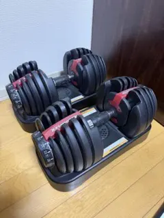 インクライントレーニングベンチ 可変式ダンベル（最大24kg x2台