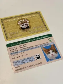 なめ猫 なめねこ健保 カード 2枚セット