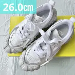 26.0㎝ オニツカタイガー デンティグレ エルエス ホワイト シルバー