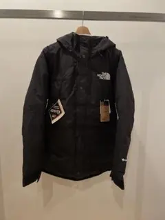 THE NORTH FACE⭐︎マウンテンダウンジャケット⭐︎GORE-TEX⭐︎