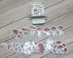 Item thumbnail for item d5f8ec05-4721-4bb1-ae22-b32987afbcf1