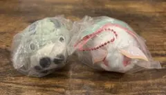 ふあふあモスモス　スカシバ　ミズアオ