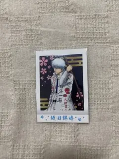 銀魂 パシャこれ 坂田銀時 志村新八 幼少期セット - メルカリ