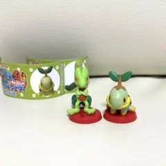 ポケモン 旅立ちの3匹 キモリ ナエトル