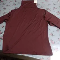 Item thumbnail for item 45fb6e95-3e7e-45da-8370-859511e806a4