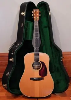 2026年最新】tokai humming birdの人気アイテム - メルカリ