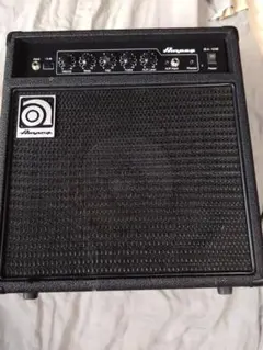2026年最新】Ampeg BA-110の人気アイテム - メルカリ