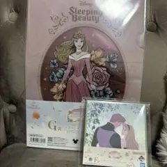 Sleeping Beauty クリアファイル & ミニキャンバスボードセット