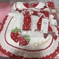 Miss Blumarine ドッグウェア セット - メルカリ