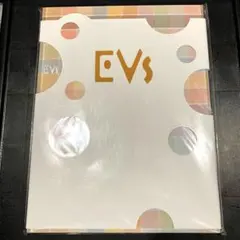 2026年最新】evs イーブイの人気アイテム - メルカリ