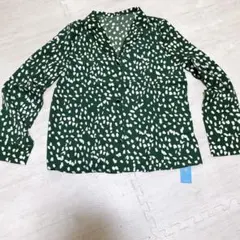 ⭐️限定１点⭐️シャツ ブラウス 長袖 ボタンダウン　レディース　グリーン