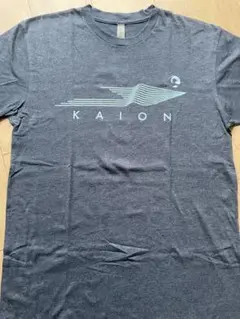 ハワイKAION ブルーグレー Tシャツ M