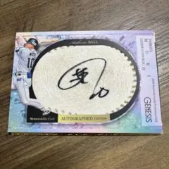 Item thumbnail for item 124871c0-8922-47d3-801f-121654530e30