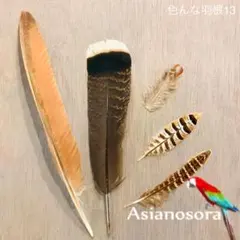 METZ他 フライフィッシング用羽根セット - メルカリ