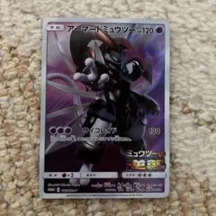 kenpaSHOP様 リクエスト 2点 まとめ商品