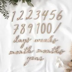 木製 レターバナー 月齢フォト 19点セット / Eタイプ